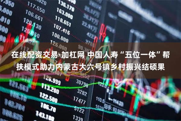 在线配资交易·加杠网 中国人寿“五位一体”帮扶模式助力内蒙古大六号镇乡村振兴结硕果